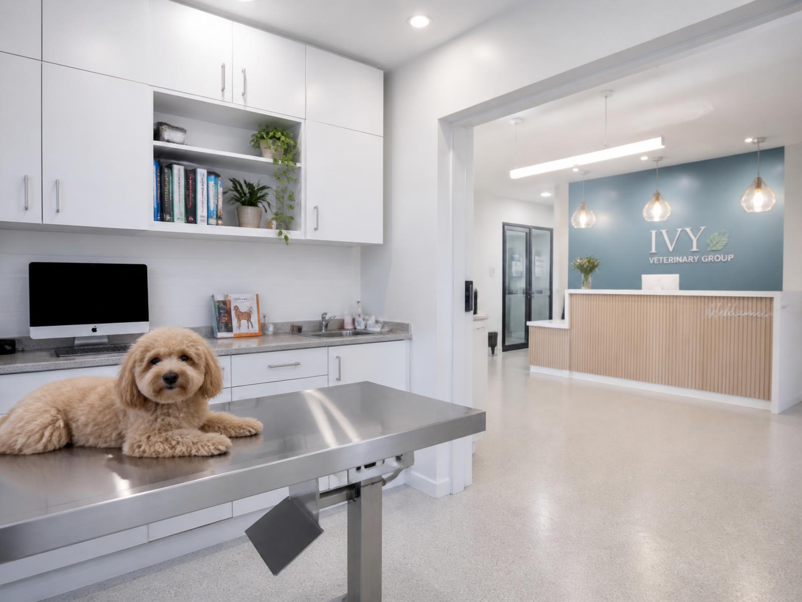 Veterinary Practice Fit Outs